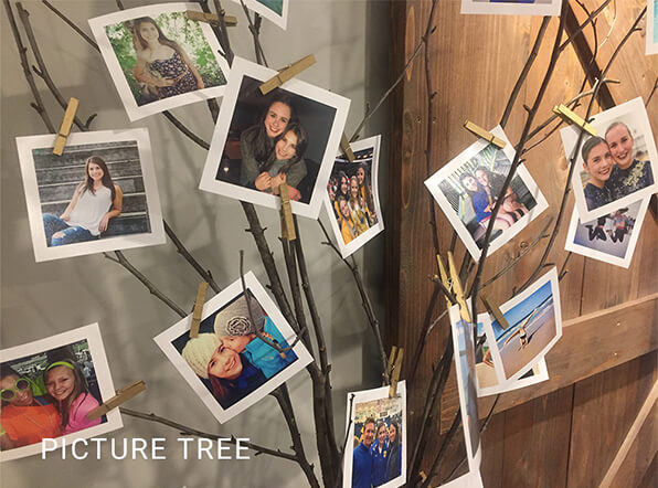 picture tree 